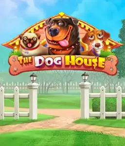 Pragmatic Play's The Dog House, featuring a delightful experience through charming canines. Engage in gameplay elements including multipliers, designed for providing exciting wins. Ideal for pet lovers a cheerful theme alongside lucrative rewards.