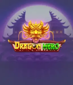 Join a legendary quest with the Dragon Hero game by Pragmatic Play, featuring breathtaking graphics of mighty dragons and epic encounters. Discover a world where fantasy meets excitement, with featuring treasures, mystical creatures, and enchanted weapons for a thrilling slot experience.