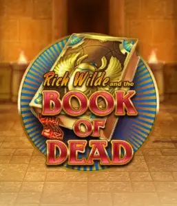 Enter the thrilling world of Book of Dead by Play'n GO, presenting vivid graphics of Rich Wilde’s adventurous journey through ancient Egyptian tombs and artifacts. Uncover lost riches with exciting mechanics like free spins, expanding icons, and a gamble option. Ideal for adventure enthusiasts with a desire for exciting finds.